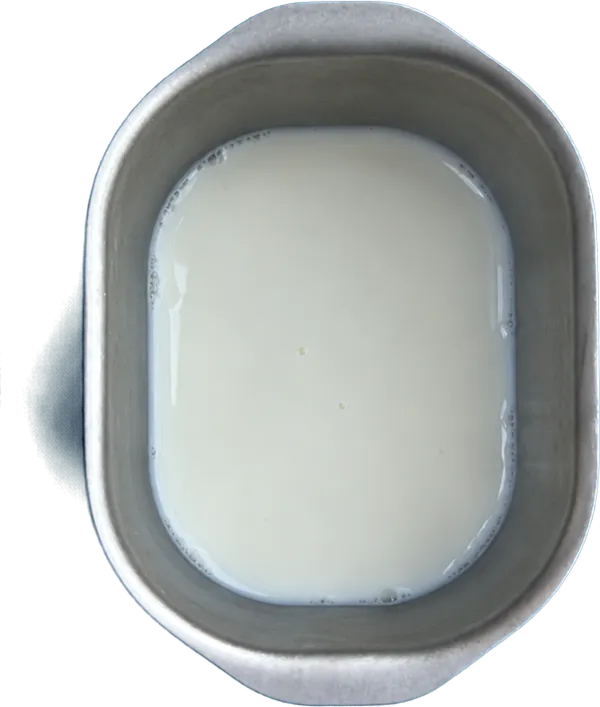Nel secondo contenitore mettete 240 g di latte vaccino fresco intero.