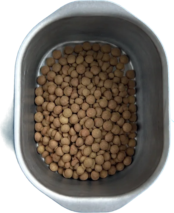 Nel secondo contenitore mettete 60 g di lenticchie.