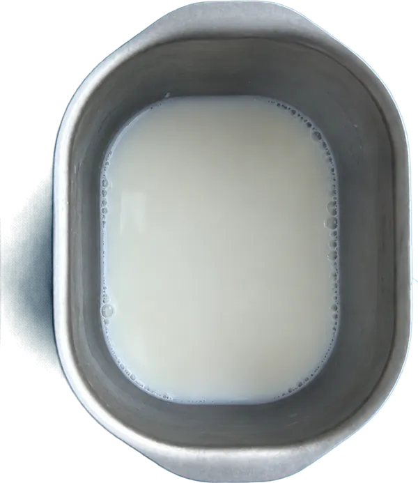 Nel primo contenitore mettete 260 g di latte vaccino fresco intero.