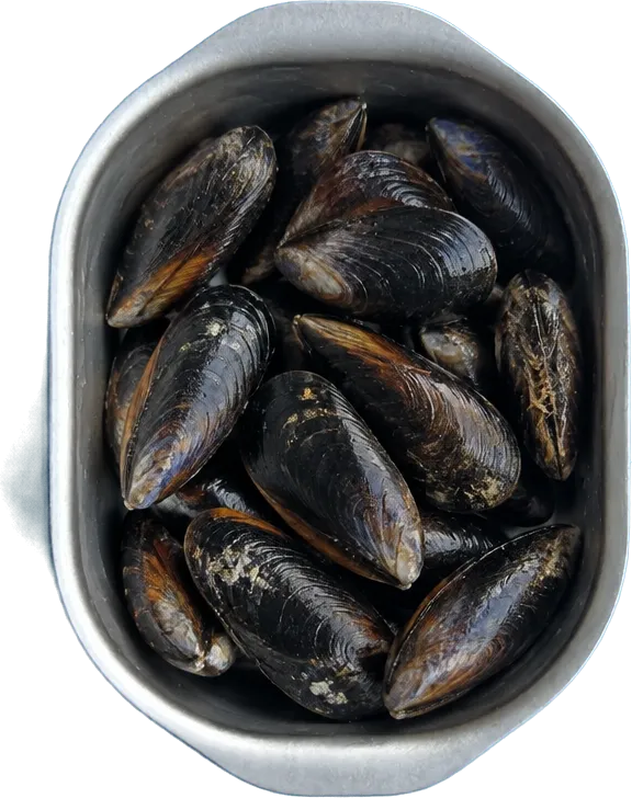 Nel terzo contenitore mettete 200 g di cozze fresche con guscio.